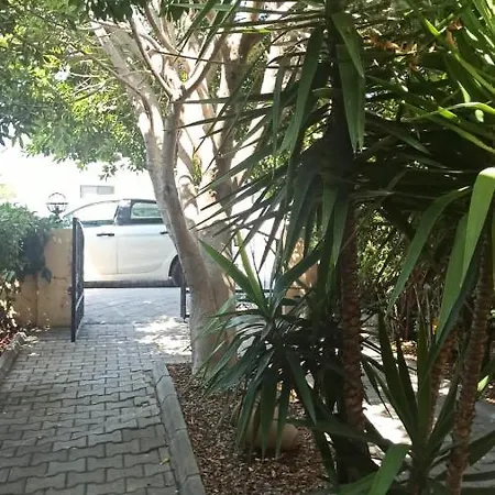 Riverside オルタジャ